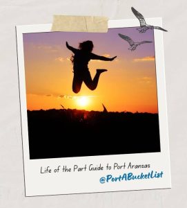 life of the part guide